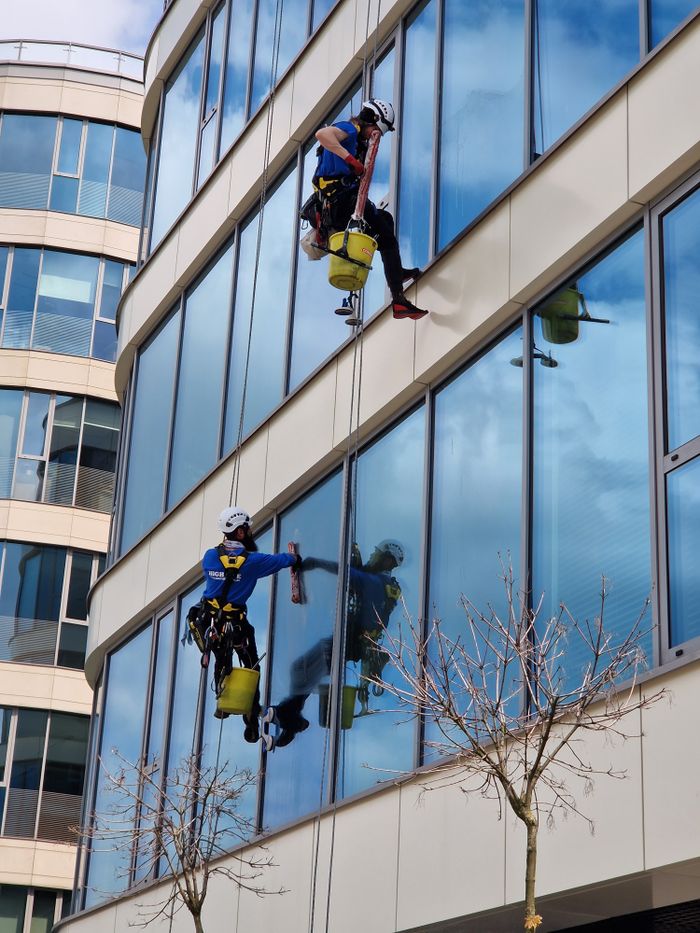 project-01-b Two window cleaners using ropes on a modern skyscraper, showcasing urban professional maintenance.